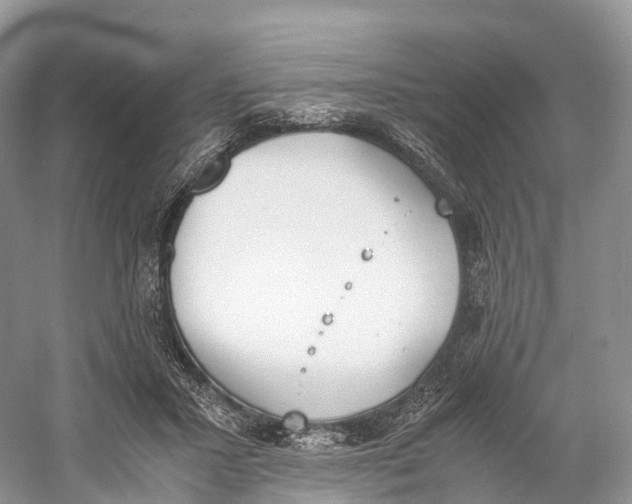 X0000060800407200512011738