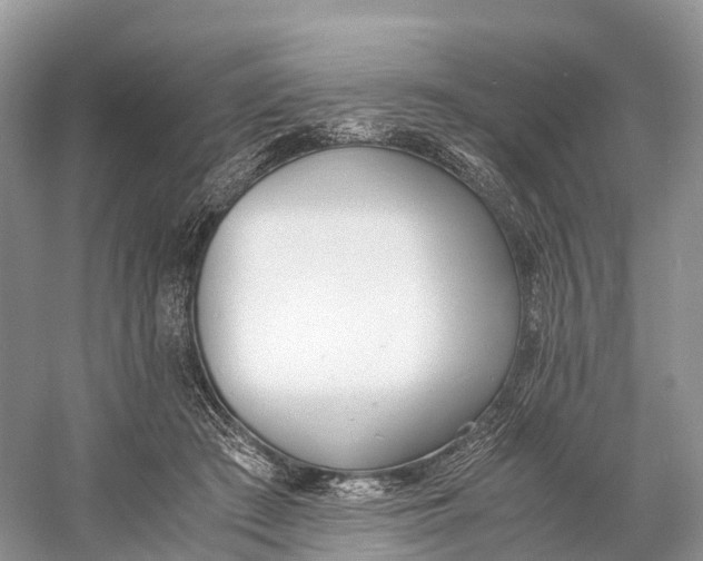 X0000060800409200512011738