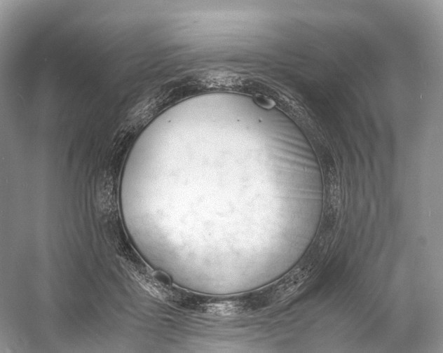 X0000060800411200512011738