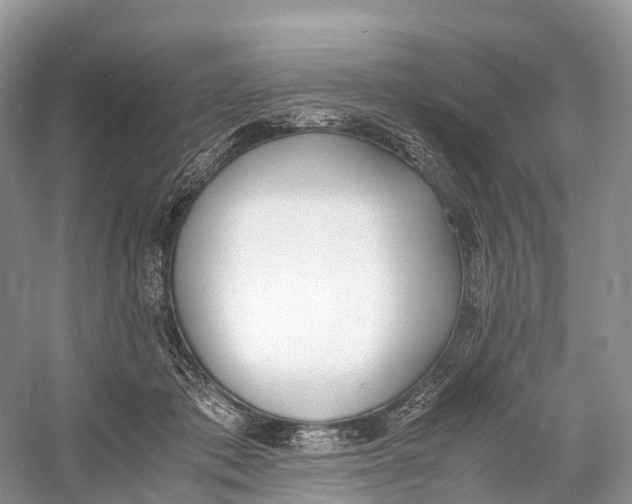 X0000060800413200512011738