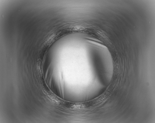 X0000060800415200512011738