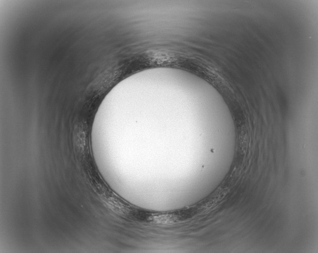 X0000060800417200512011738