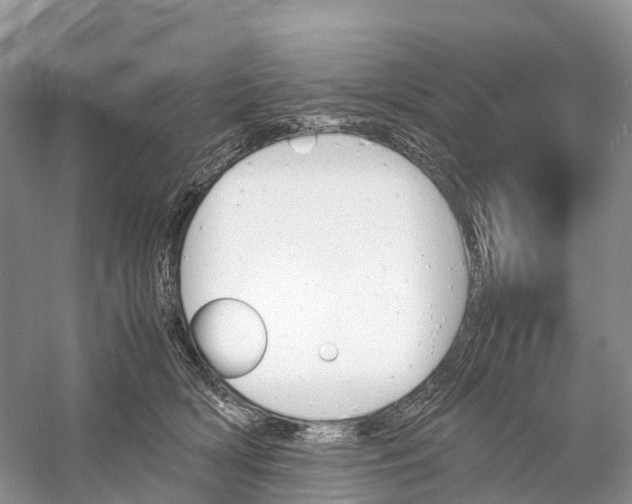 X0000060800418200512011738