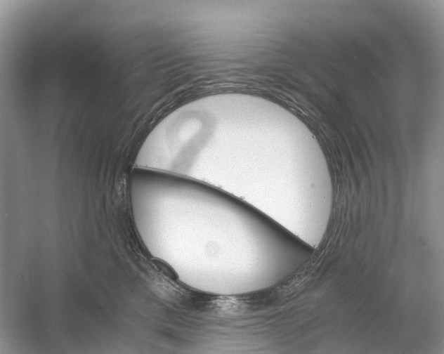 X0000060800425200512011738