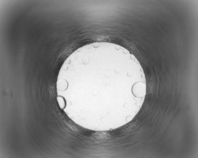 X0000060800427200512011738