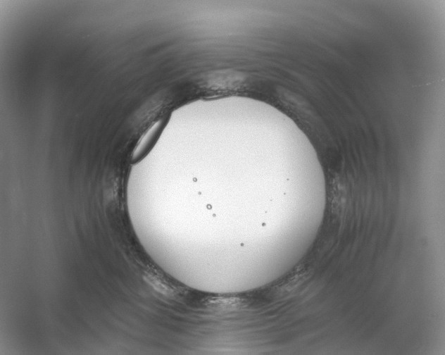 X0000060800428200512011738