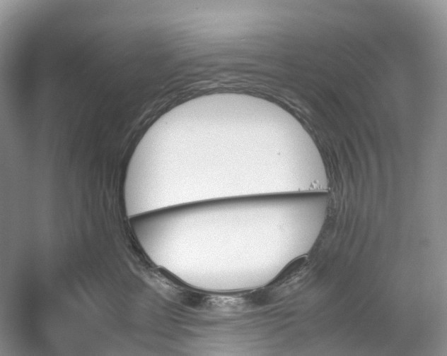 X0000060800429200512011738