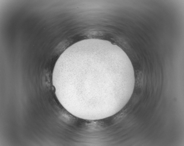 X0000060800430200512011738