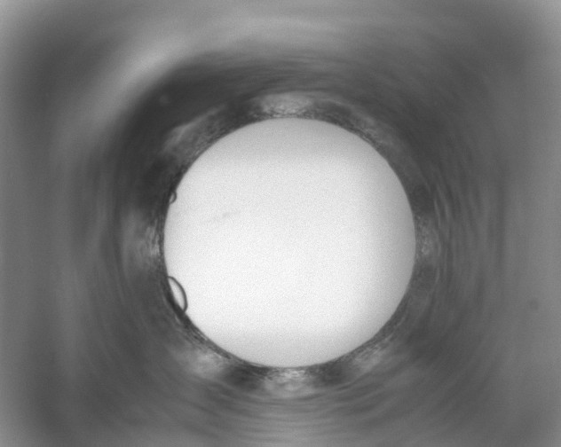 X0000060800431200512011738