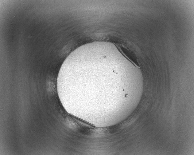 X0000060800432200512011738