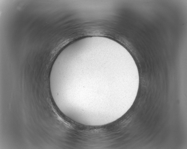 X0000060800433200512011737