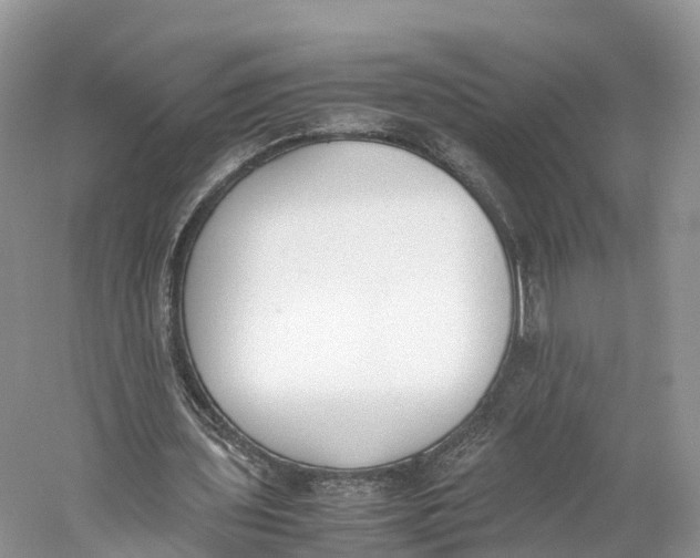 X0000060800435200512011737