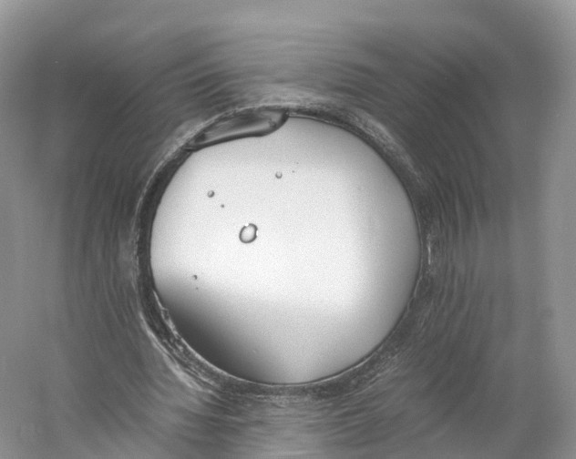 X0000060800436200512011737