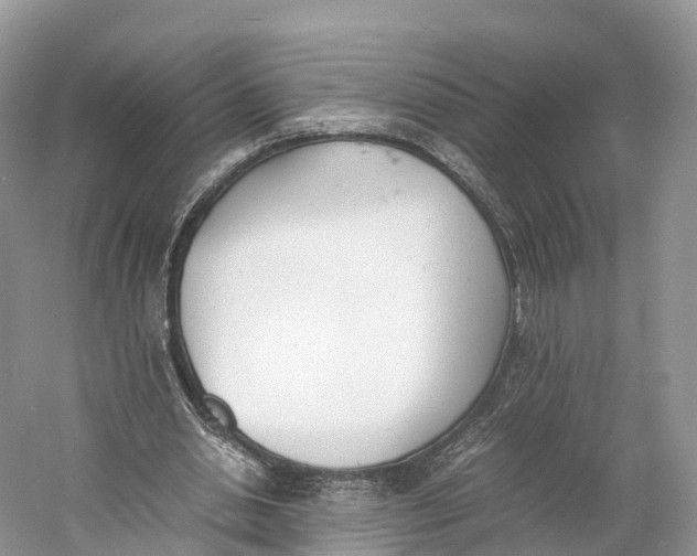 X0000060800438200512011737