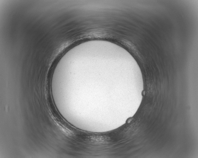 X0000060800439200512011737