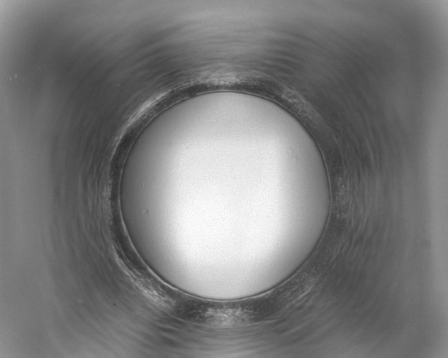 X0000060800440200512011737