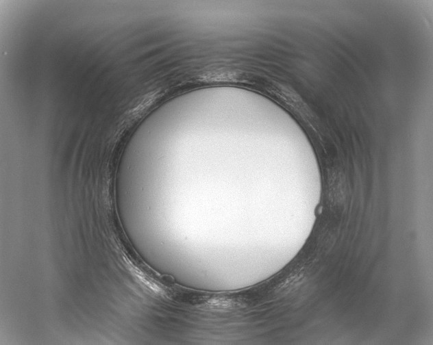 X0000060800441200512011737