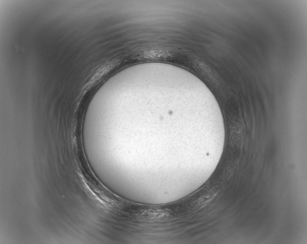 X0000060800443200512011737