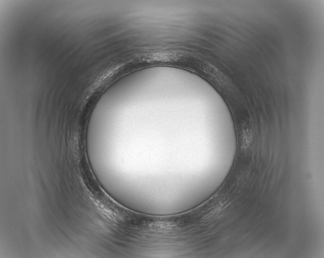 X0000060800444200512011737