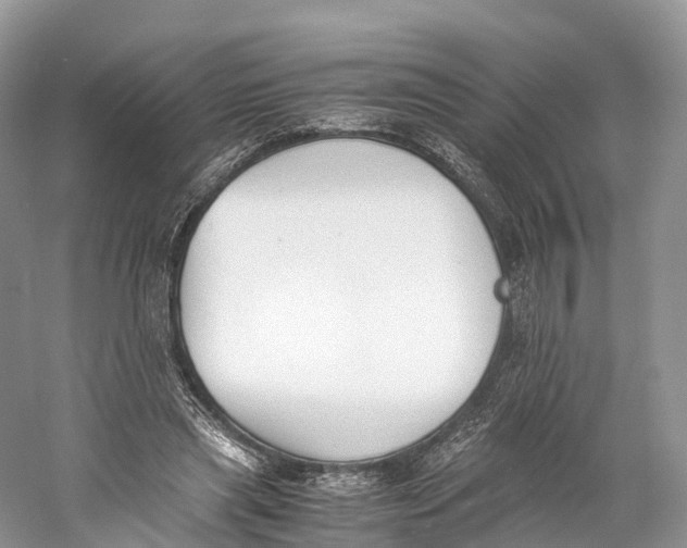 X0000060800445200512011737