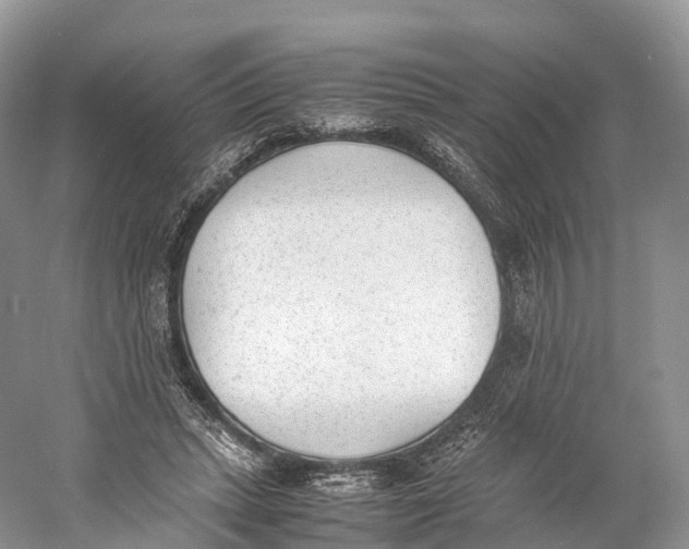 X0000060800447200512011737