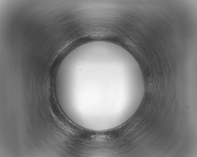 X0000060800448200512011737