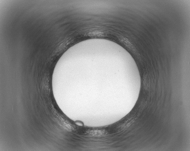 X0000060800449200512011737