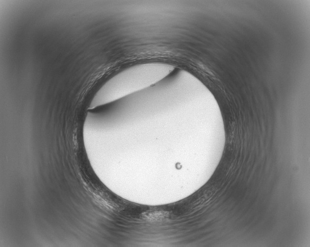 X0000060800452200512011737