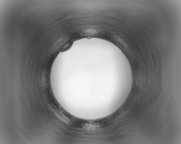 X0000060800455200512011737