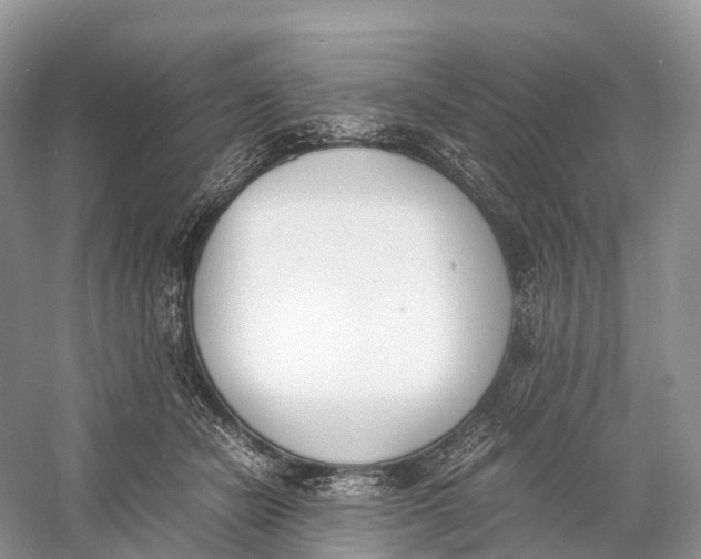 X0000060800462200512011737