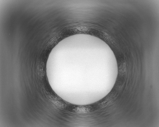 X0000060800464200512011737