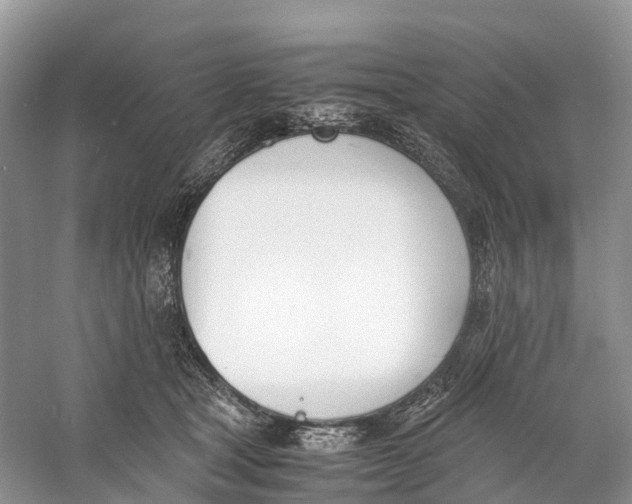 X0000060800465200512011737