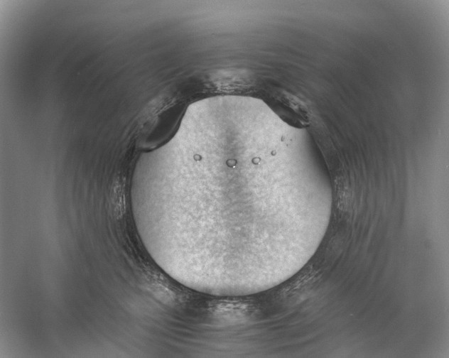 X0000060800471200512011737