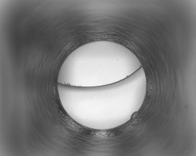 X0000060800473200512011738