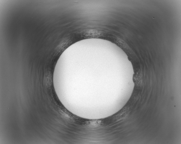 X0000060800474200512011738