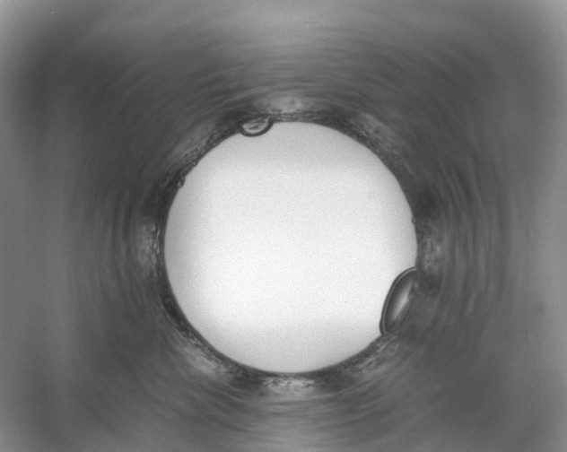 X0000060800476200512011738