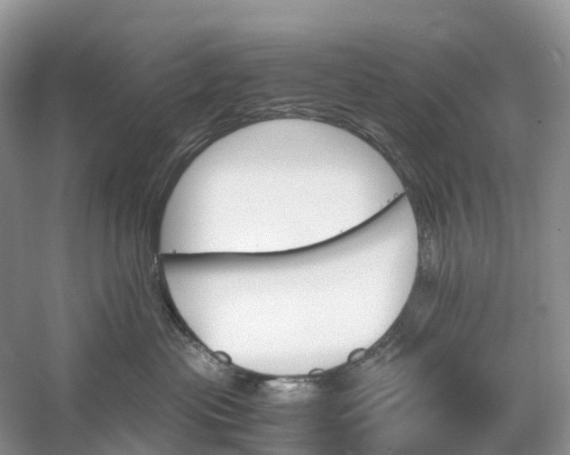 X0000060800477200512011738