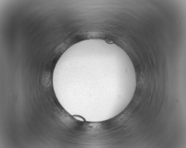 X0000060800478200512011738