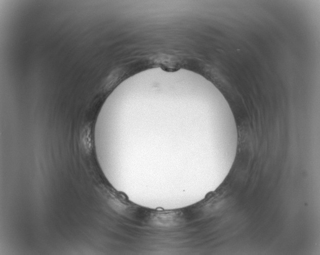 X0000060800479200512011738