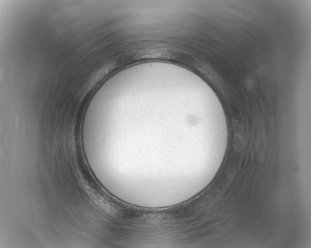 X0000060800482200512011737