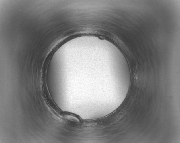 X0000060800484200512011737