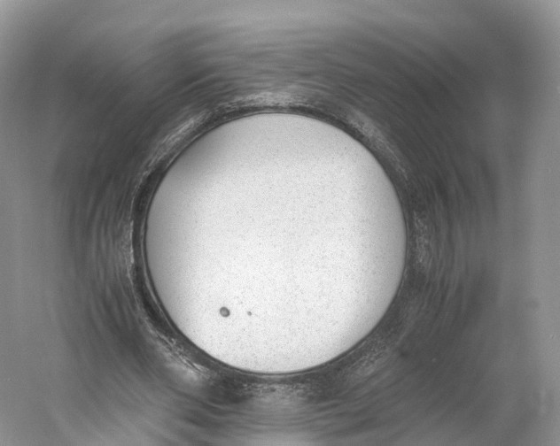 X0000060800486200512011737