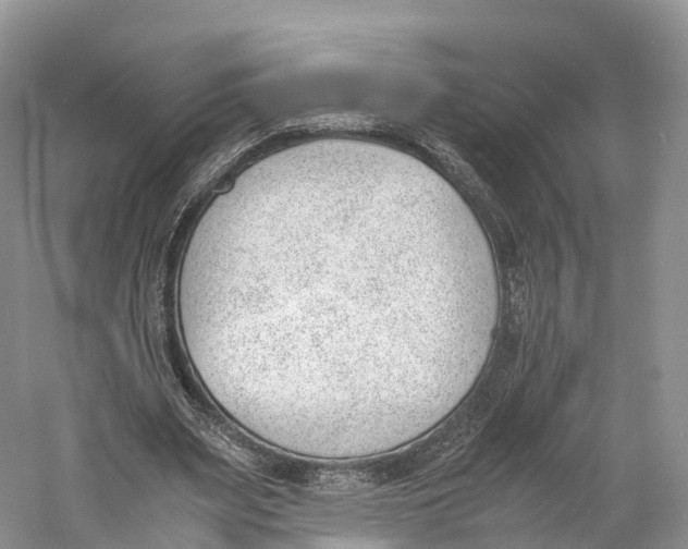 X0000060800487200512011737