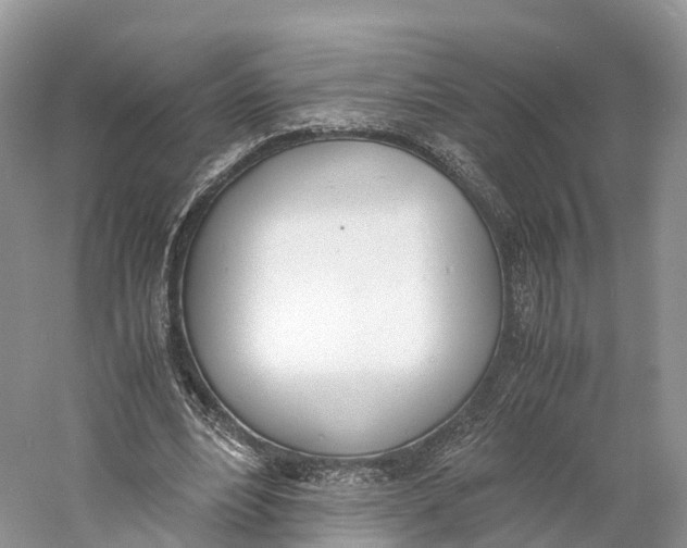 X0000060800488200512011737