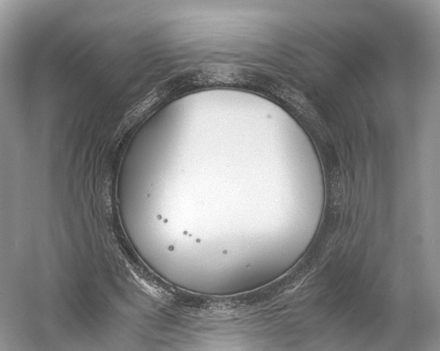 X0000060800489200512011737