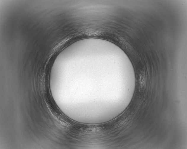 X0000060800492200512011737