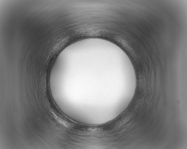 X0000060800493200512011737