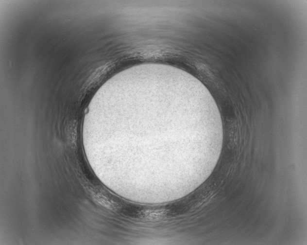 X0000060800495200512011737