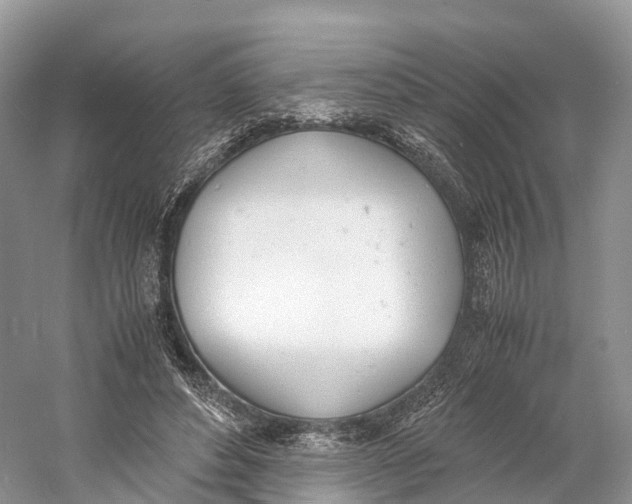 X0000060800496200512011737