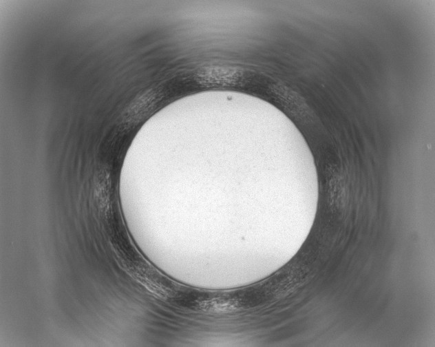 X0000060800498200512011737